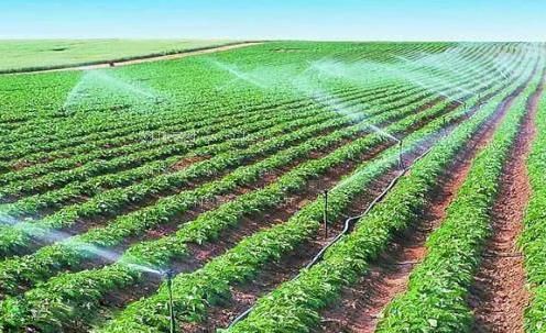 操操操操操操操操逼的视频农田高 效节水灌溉